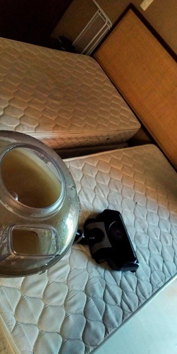 limpeza de estofados natal